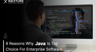8 Reasons Why Java Is Top Choice For Enterprise Software