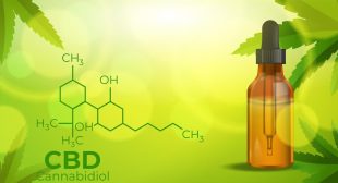 CBD North Reviews: A Comprehensive Look at Products Offered by CBDNorth