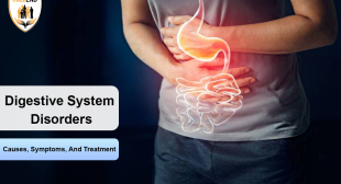 Digestive System Disorders: Causes, Symptoms, And Treatment