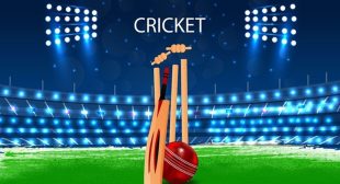 Know The Fantasy Cricket Concept in 5 Easy Steps