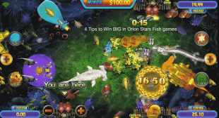 4 Tips to Win BIG in Orion Stars Fish games | Orion Stars