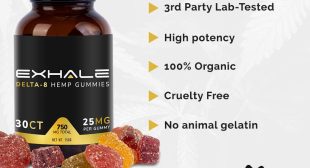 A Perfect Guide to Buy To Buying Delta 9 Gummies – Film Daily