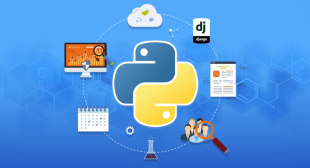 Hire Python Developers – Wdp Technologies
