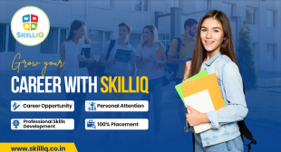 Professional IT Training Institute With 100% Job Placement in India | SkillIQ